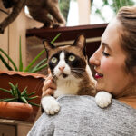 Tips for Designing a Pet-friendly Home at Vedant Nakshatra, Badlapur