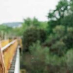 Exploring the Nearby Natural Attractions from Vedant Millenia Titwala: Embracing Nature’s Beauty