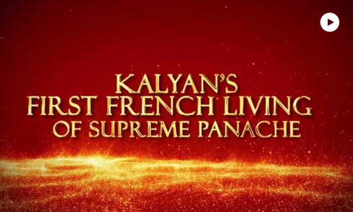Vedant Empire french living video
